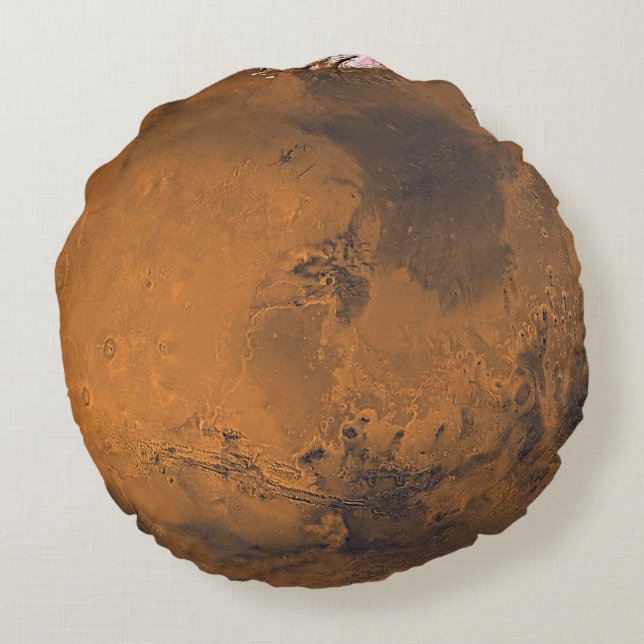 Mars Surface Planet Photo Round Cushion (Back)
