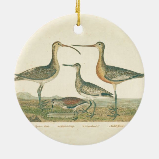 Marsh Bird Curlew Snipe Birding Ceramic Tree Decoration (Back)