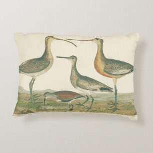 Marsh Bird Curlew Snipe Birding Decorative Cushion