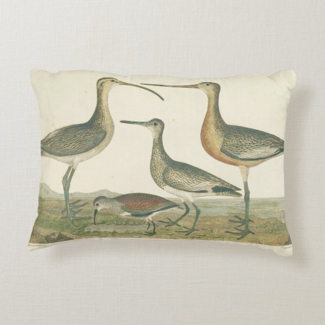Marsh Bird Curlew Snipe Birding Decorative Cushion (Back)