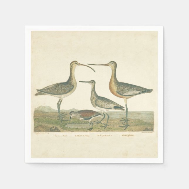 Marsh Bird Curlew Snipe Birding Napkin (Front)