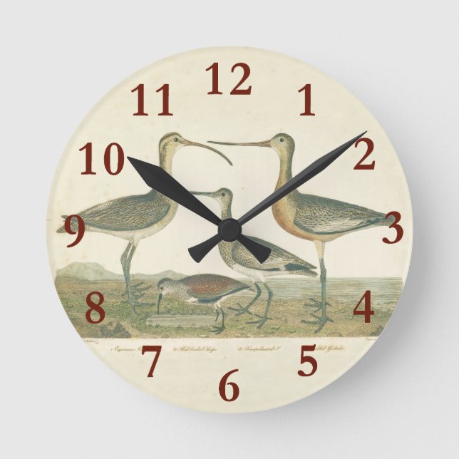 Marsh Bird Curlew Snipe Birding Round Clock (Front)