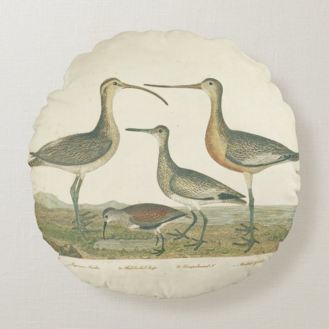 Marsh Bird Curlew Snipe Birding Round Cushion (Front)