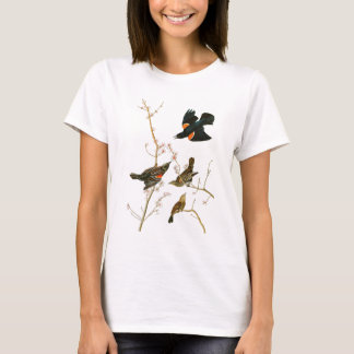 Marsh Blackbird John Audubon Birds of America T-Shirt