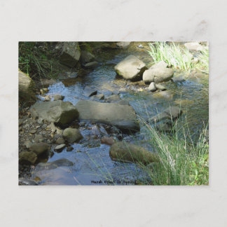 Marsh Creek in Spring Postcard