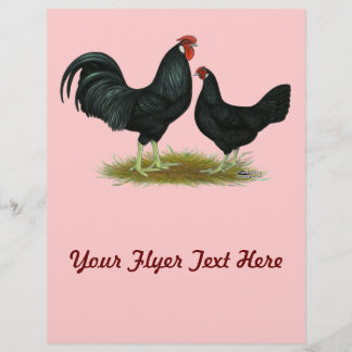 Marsh Daisy Chickens Flyer