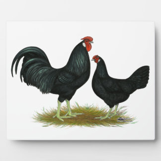 Marsh Daisy Chickens Plaque