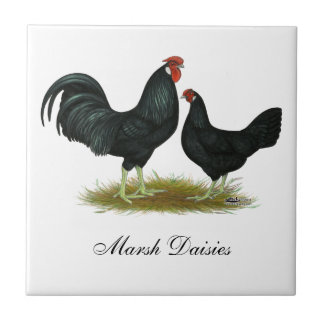 Marsh Daisy Chickens Tile