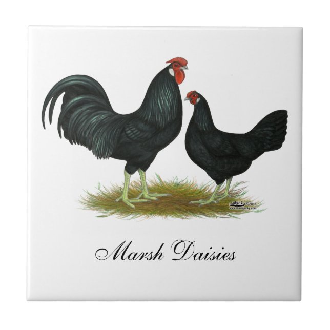 Marsh Daisy Chickens Tile (Front)