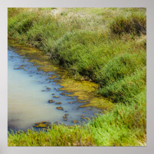 Marsh Edge Poster