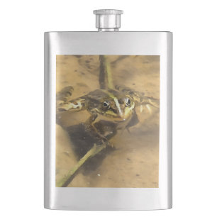 Marsh Frog Immersed In River Water Painting Hip Flask