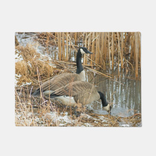 Marsh Geese Birds Goose Doormat