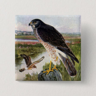 Marsh Hawk 15 Cm Square Badge