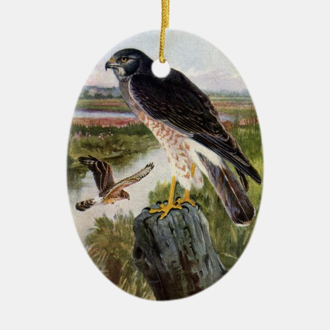 Marsh Hawk Ceramic Tree Decoration (Front)