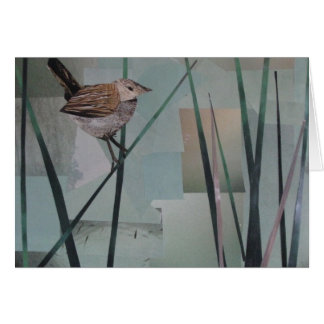 Marsh Wren