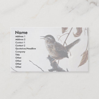Marsh wren business card