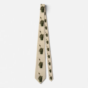 Marsh Wren from Audubon's Birds of America Tie