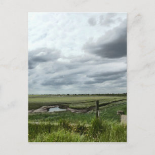 Marshes Postcard