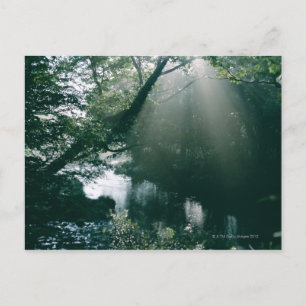 Marshland 3 postcard