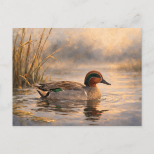 Marshland Duck   Coastal Wildlife Art   Postcard