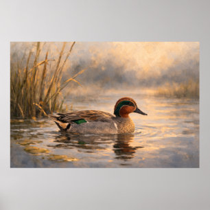 Marshland Duck   Coastal Wildlife Art   Poster