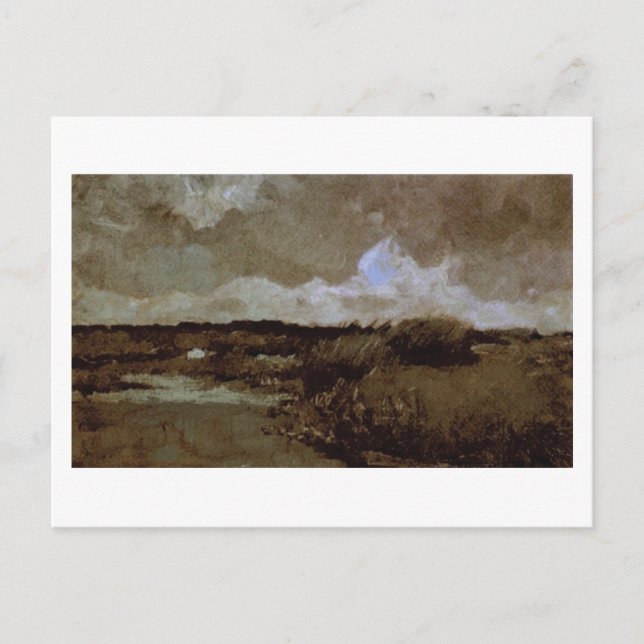Marshy Landscape, Vincent van Gogh Postcard (Front)