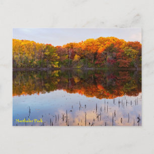 marthaler park autumn and pond reflections postcar postcard