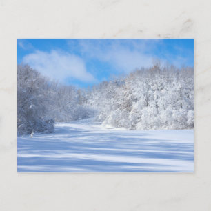 Marthaler Park Snowy Hills Postcard
