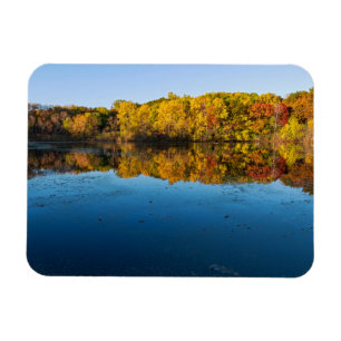 marthaler park woodlands and reflections of autumn magnet