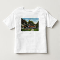 Martha's Vineyard, View of Methodist