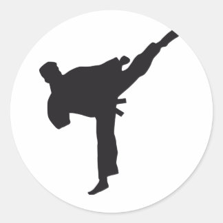 martial arts classic round sticker
