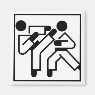 Martial Arts Figures Magnet