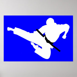 martial arts silhouettes poster