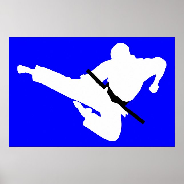 martial arts silhouettes poster (Front)