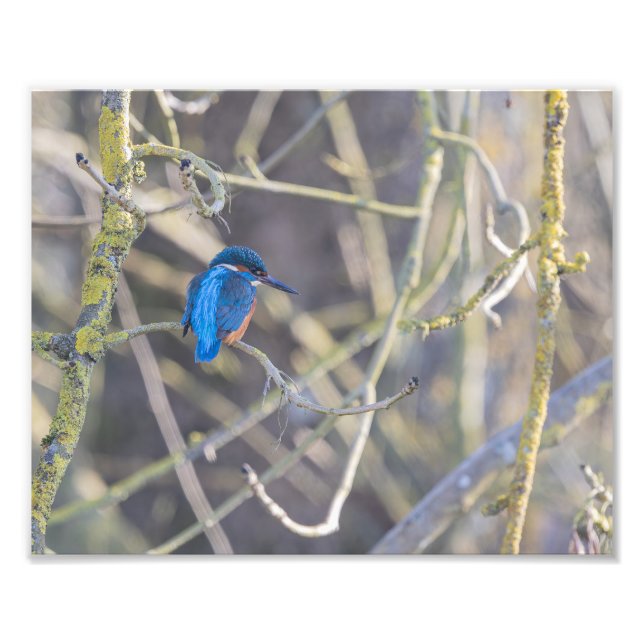 Martin-fisherman Photo Print (Front)