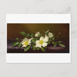 Martin Heade Cherokee Roses on a Purple Cloth Postcard