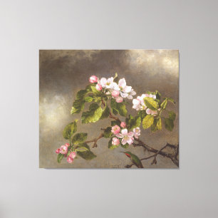 MARTIN J. HEADE - Hummingbird and Apple Blossoms - Canvas Print