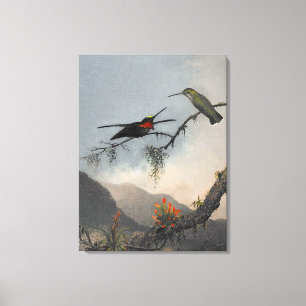 MARTIN J. HEADE Stripe-breasted Starthroat (1864) Canvas Print
