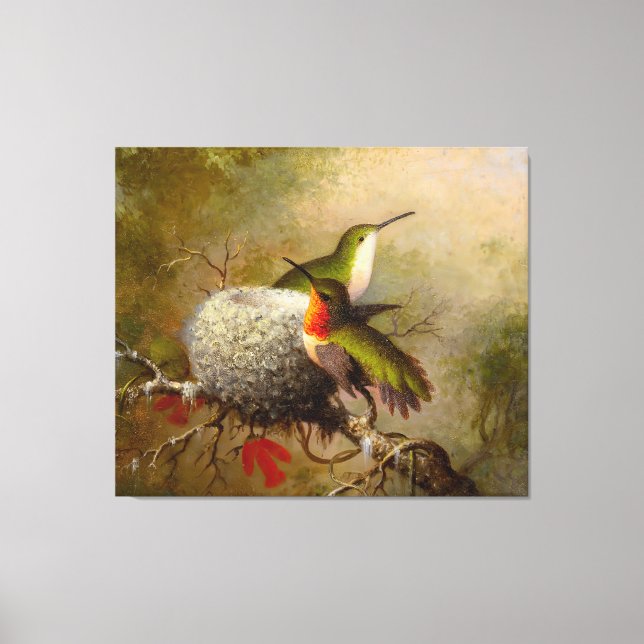 MARTIN J. HEADE - Two Ruby Throats by Their Nest - Canvas Print (Front)