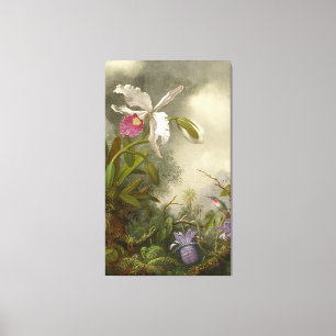 MARTIN J. HEADE - White Orchid and Hummingbird - Canvas Print