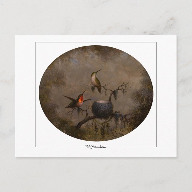 Martin Johnson Heade #131 - Fine Art Postcard (Front)