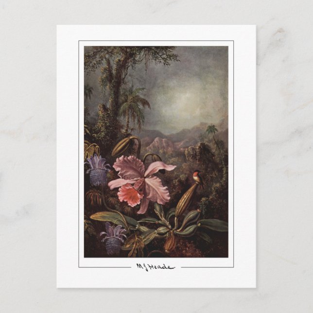 Martin Johnson Heade #202 - Fine Art Postcard (Front)