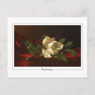 Martin Johnson Heade #44 - Fine Art Postcard