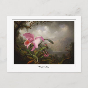 Martin Johnson Heade #45 - Fine Art Postcard