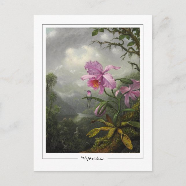 Martin Johnson Heade #4 - Fine Art Postcard (Front)