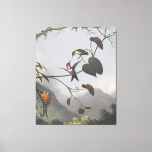 MARTIN JOHNSON HEADE - Amethyst Woodstar - 1863-64 Canvas Print