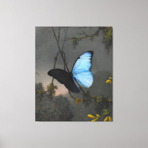 MARTIN JOHNSON HEADE - Blue Morpho Butterfly -  Canvas Print
