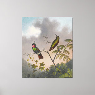 MARTIN JOHNSON HEADE - Brazilian Ruby - c. 1863-64 Canvas Print