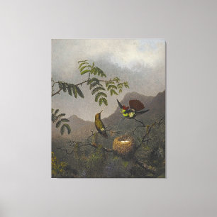 MARTIN JOHNSON HEADE - Frilled Coquette - 1863-64  Canvas Print