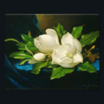 Martin Johnson Heade - Giant Magnolias Photo Print<br><div class="desc">Martin Johnson Heade - Giant Magnolias On A Blue Velvet Cloth</div>